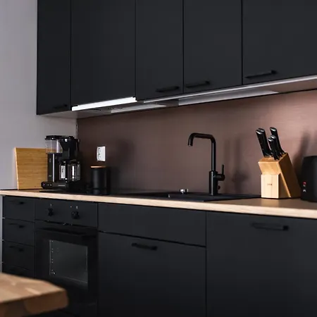 In Lapland - Levileijona Daire