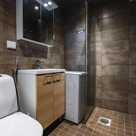 In Lapland - Levileijona Daire *