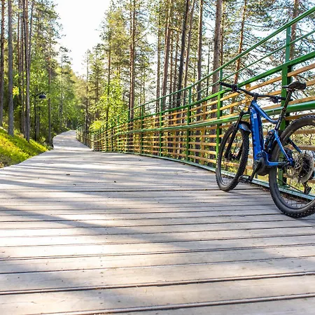 Апартаменты In Lapland - Levileijona Леви